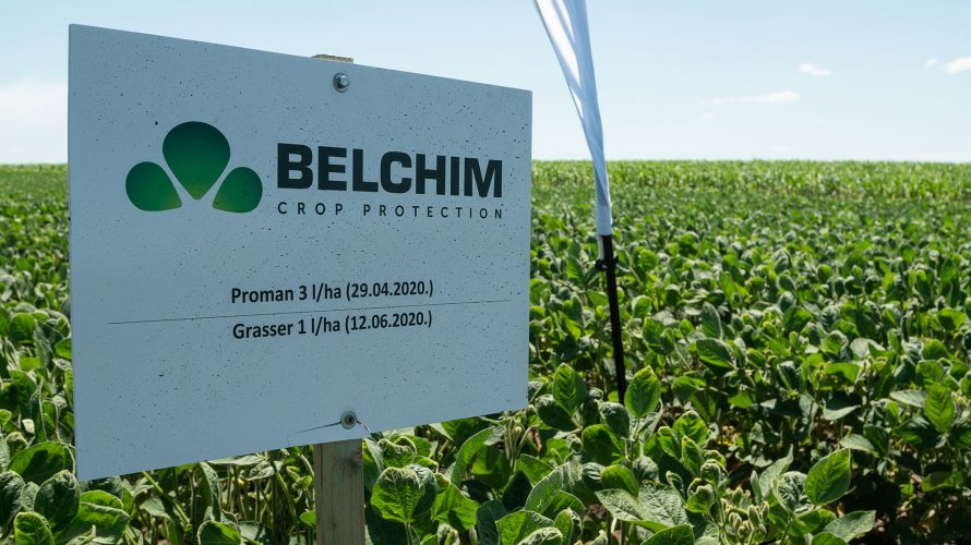 Belchim-3